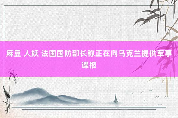麻豆 人妖 法国国防部长称正在向乌克兰提供军事谍报