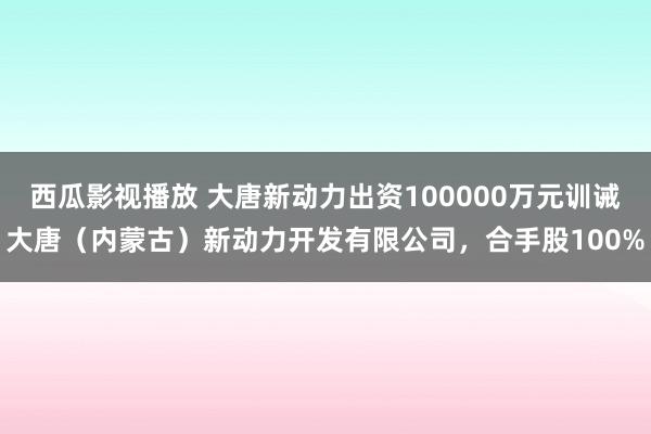 西瓜影视播放 大唐新动力出资100000万元训诫大唐（内蒙古）新动力开发有限公司，合手股100%