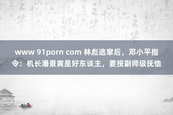 www 91porn com 林彪逃窜后，邓小平指令：机长潘景寅是好东谈主，要按副师级抚恤
