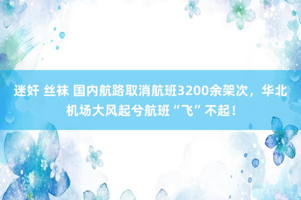 迷奸 丝袜 国内航路取消航班3200余架次，华北机场大风起兮航班“飞”不起！
